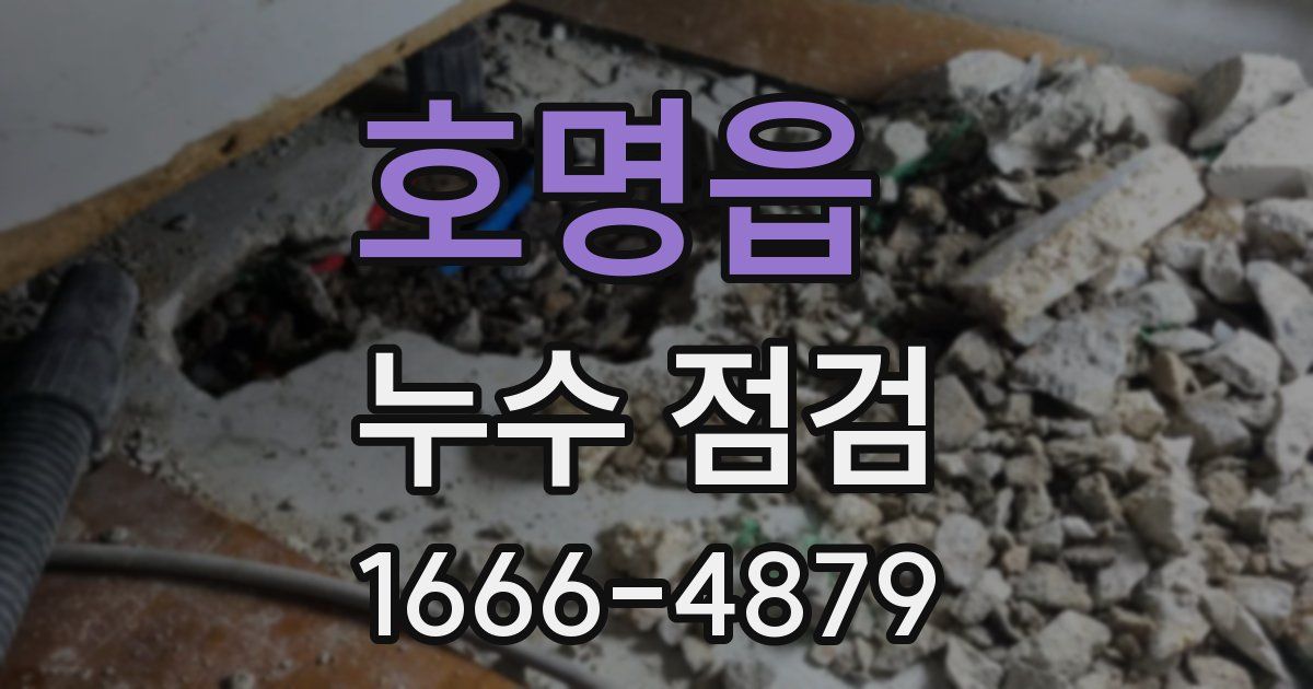 호명읍 누수 점검