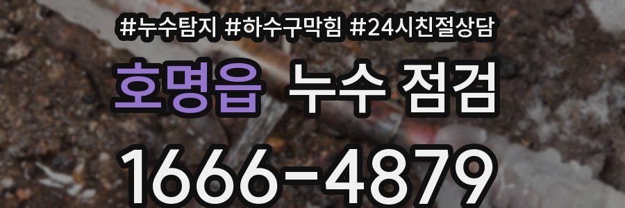 호명읍 누수 점검