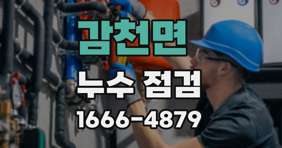 감천면 누수 점검