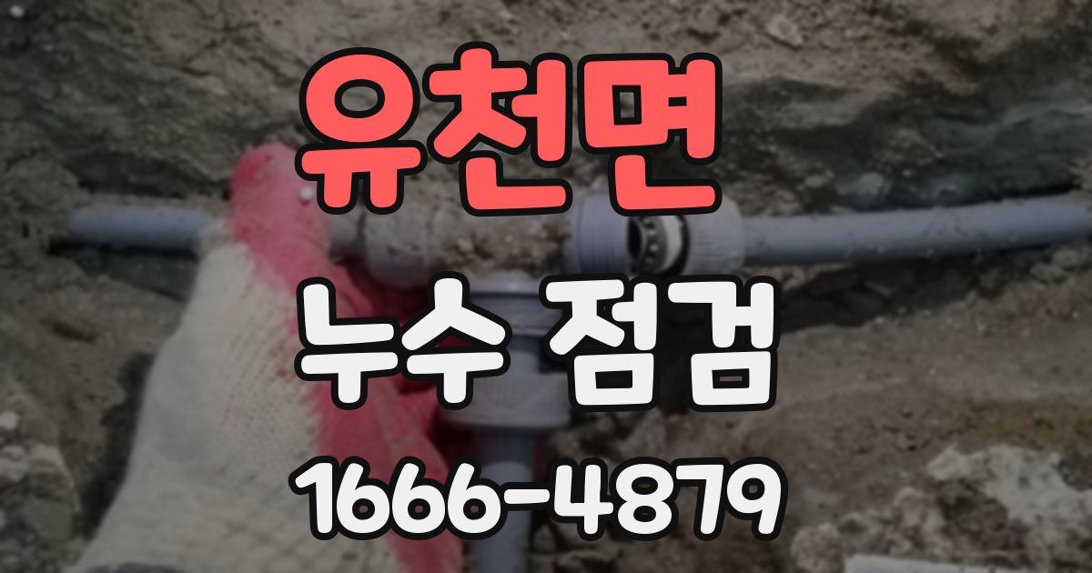 유천면 누수 점검