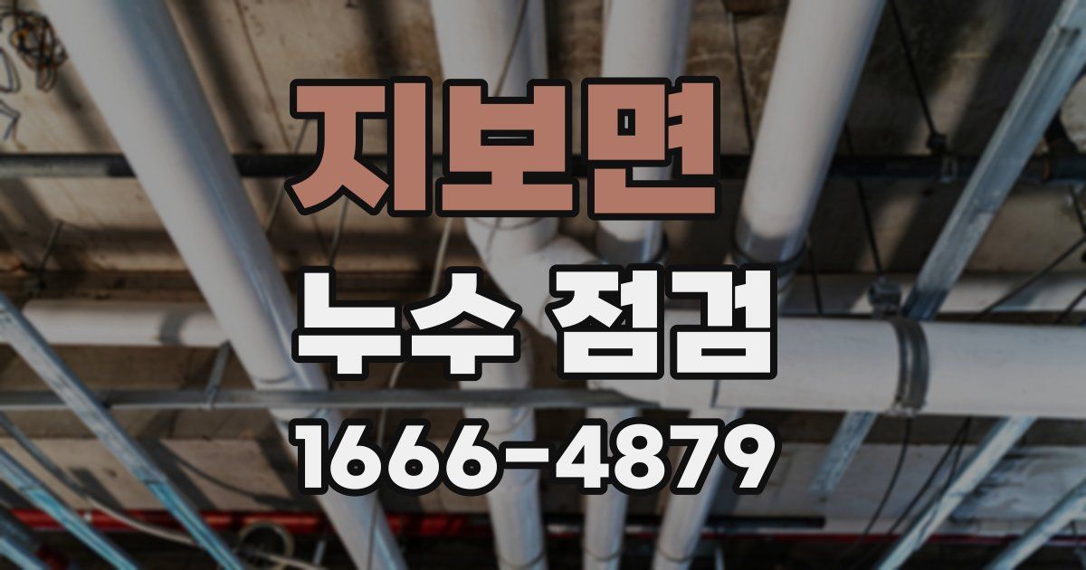 지보면 누수 점검