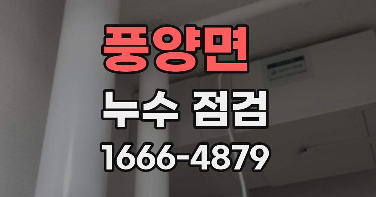 풍양면 누수 점검