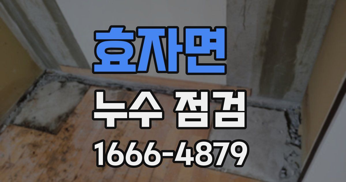 효자면 누수 점검