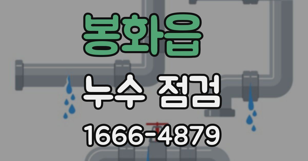 봉화읍 누수 점검