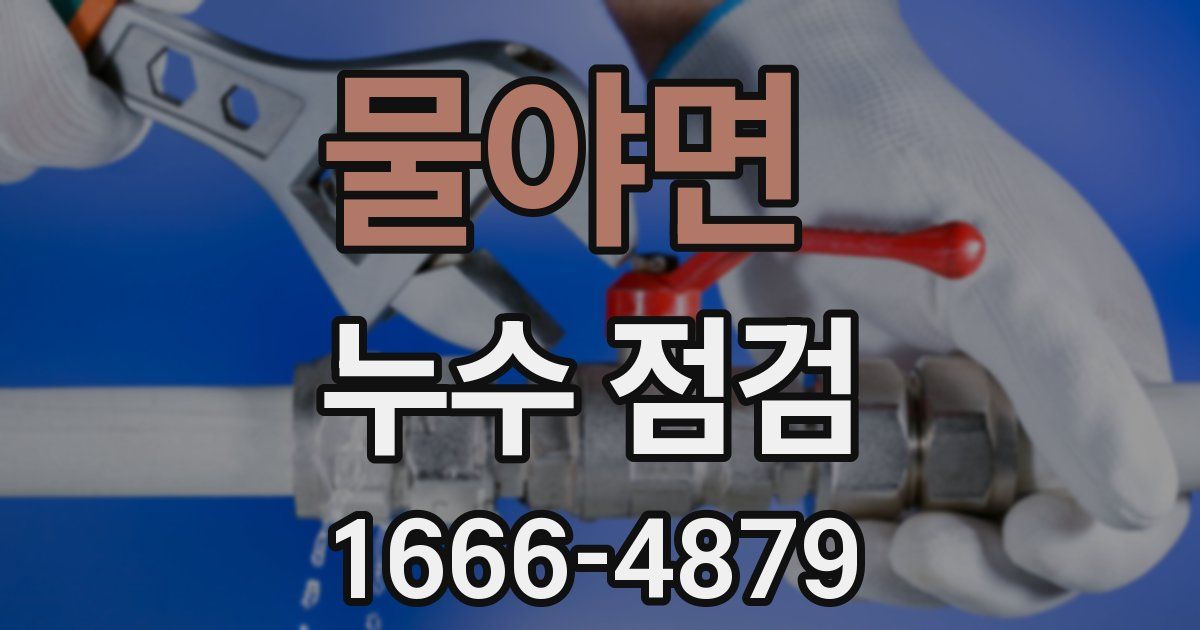 물야면 누수 점검