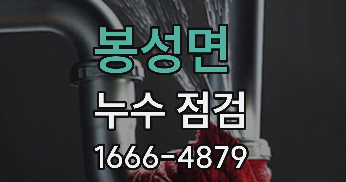 봉성면 누수 점검