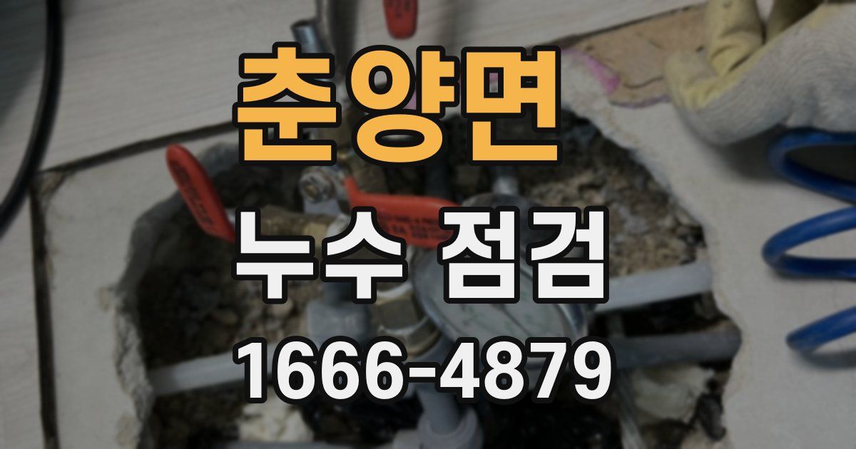 춘양면 누수 점검