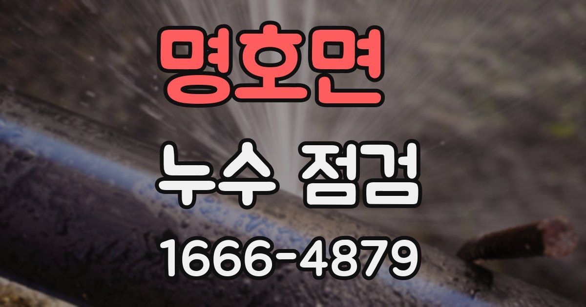 명호면 누수 점검