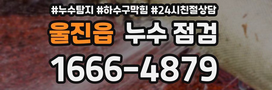 울진읍 누수 점검