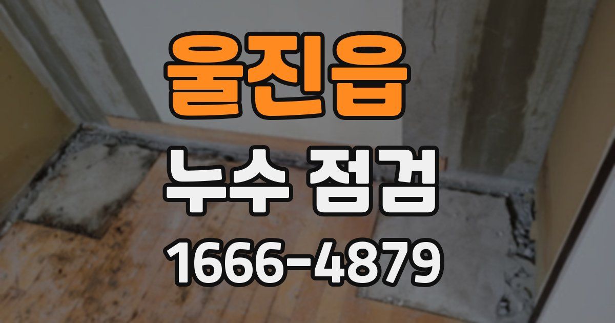 울진읍 누수 점검