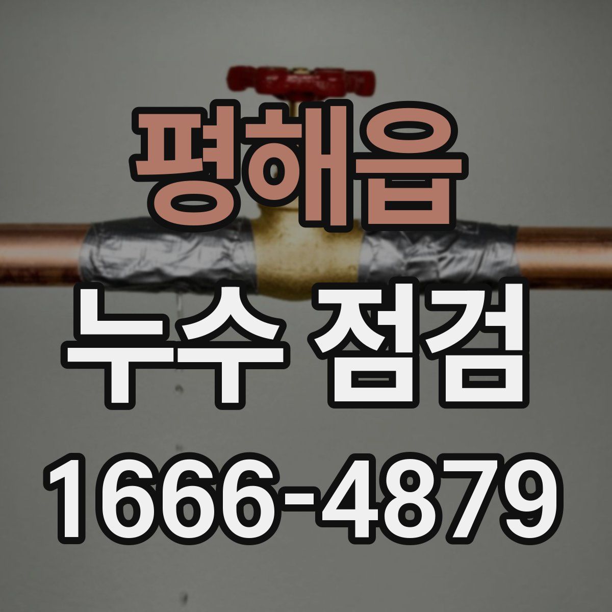 평해읍 누수 점검