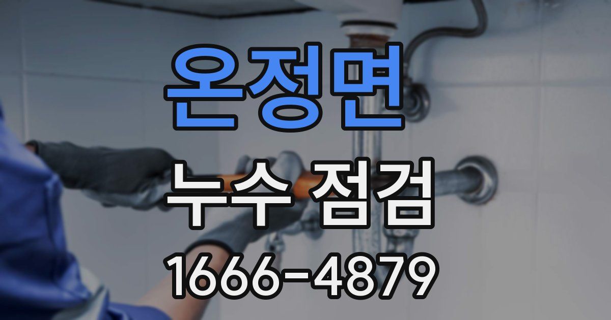온정면 누수 점검