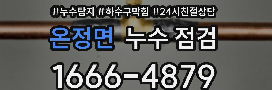 온정면 누수 점검