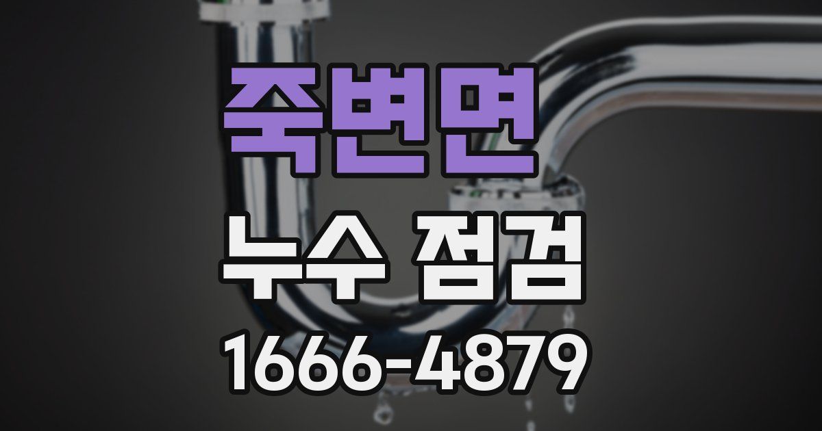 죽변면 누수 점검