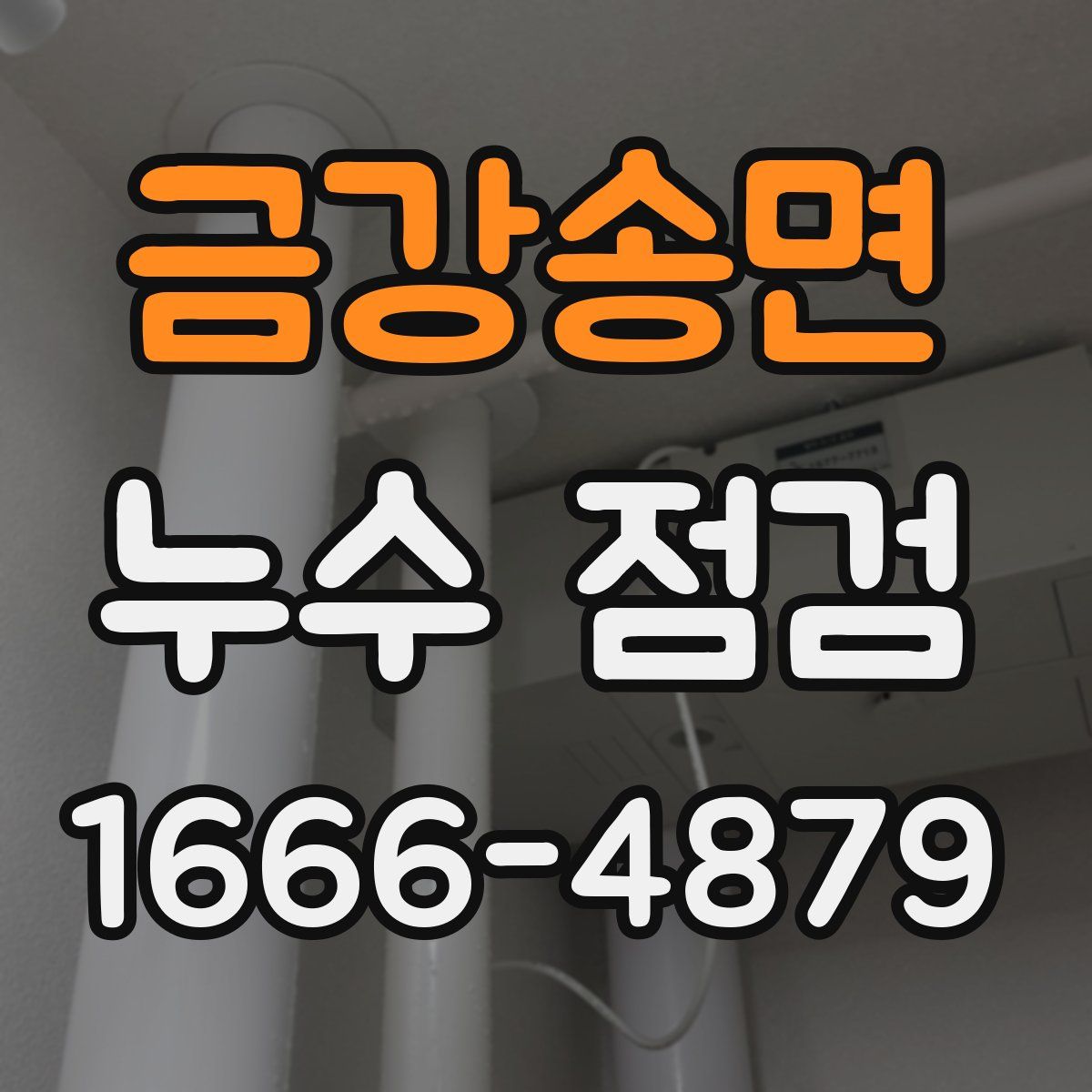 금강송면 누수 점검