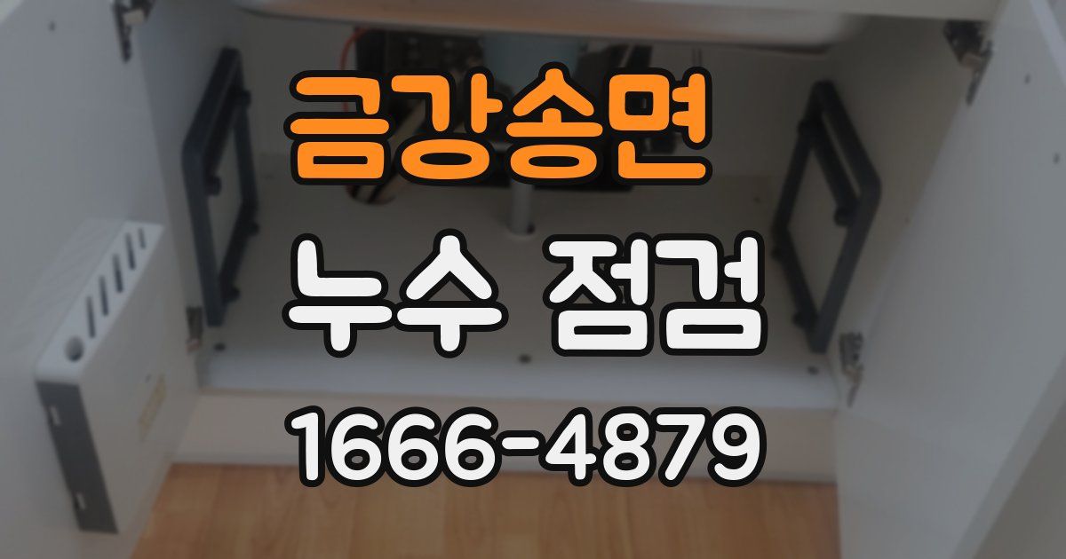 금강송면 누수 점검