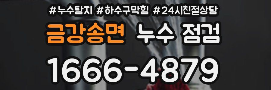 금강송면 누수 점검