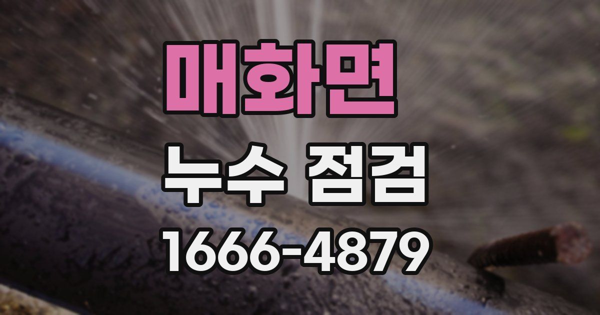 매화면 누수 점검
