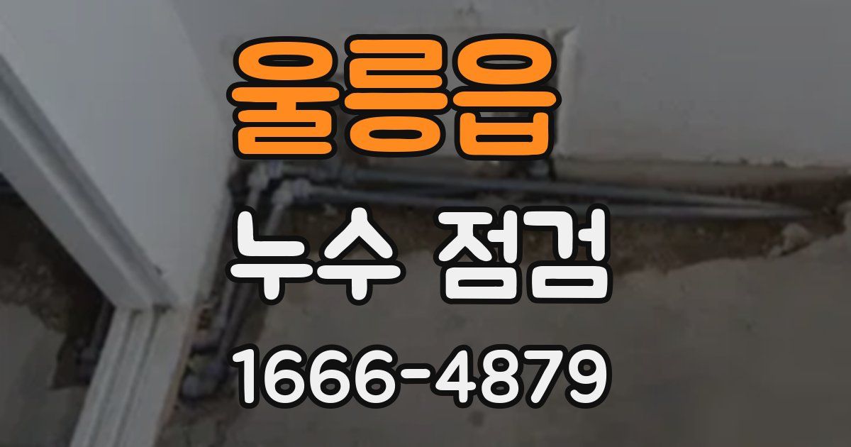 울릉읍 누수 점검