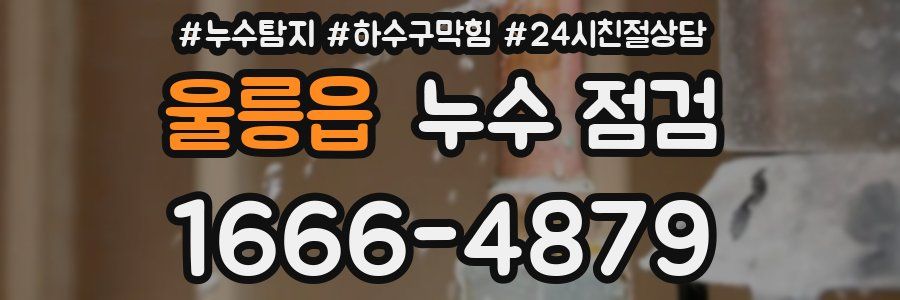 울릉읍 누수 점검