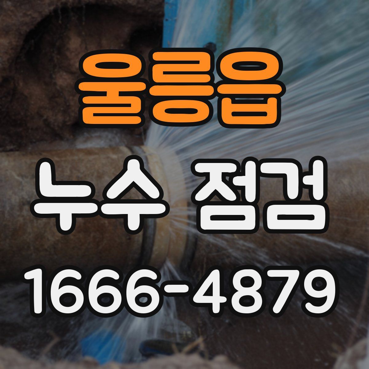 울릉읍 누수 점검