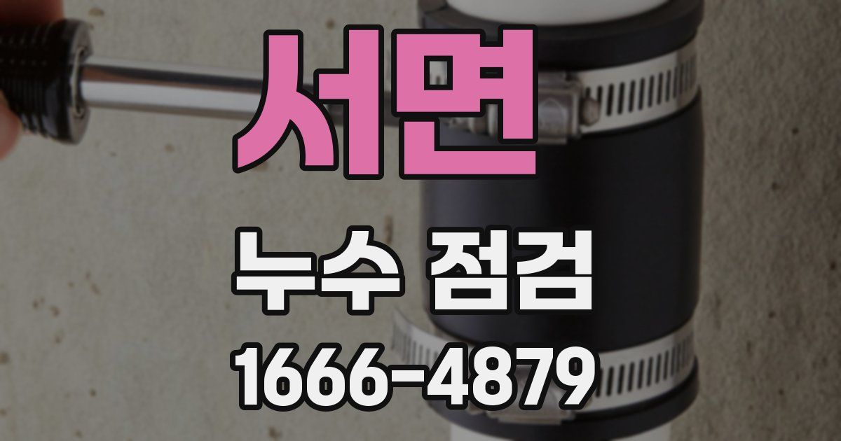 서면 누수 점검