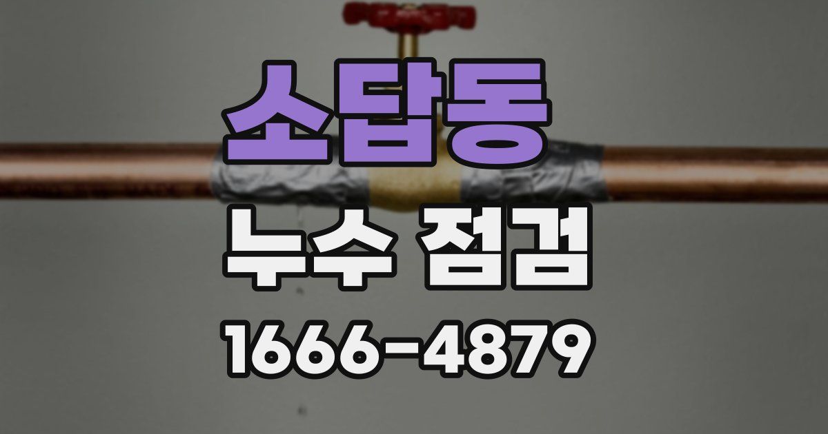 소답동 누수 점검