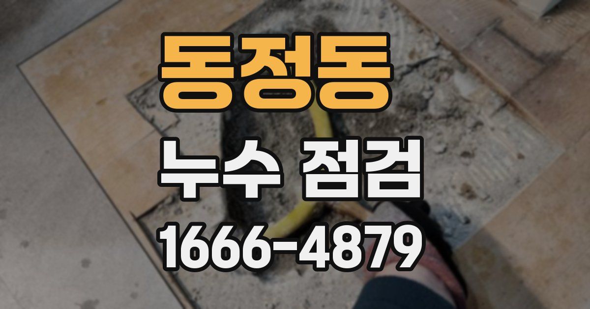 동정동 누수 점검