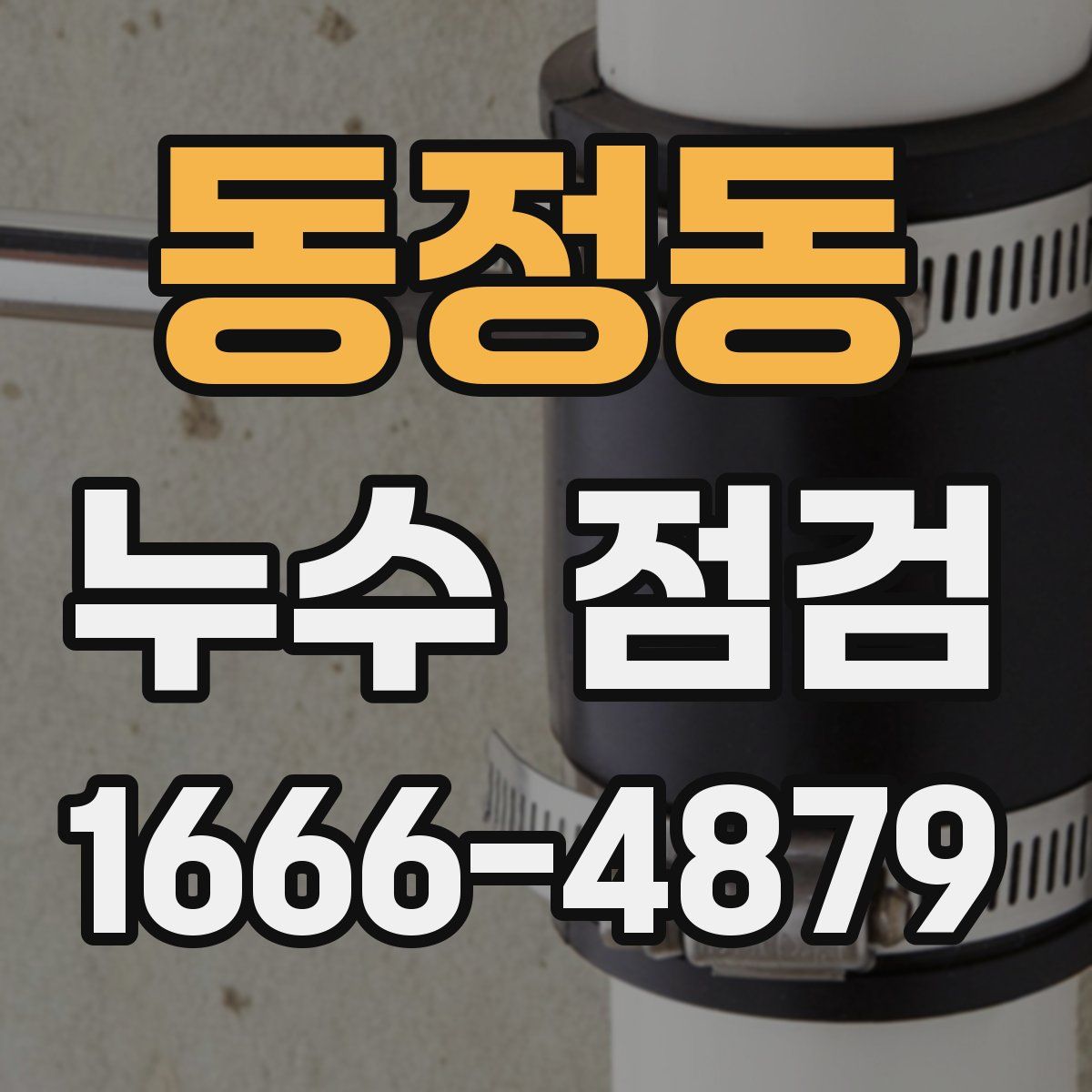 동정동 누수 점검