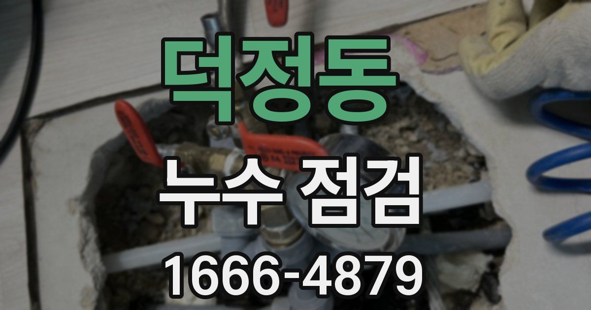 덕정동 누수 점검