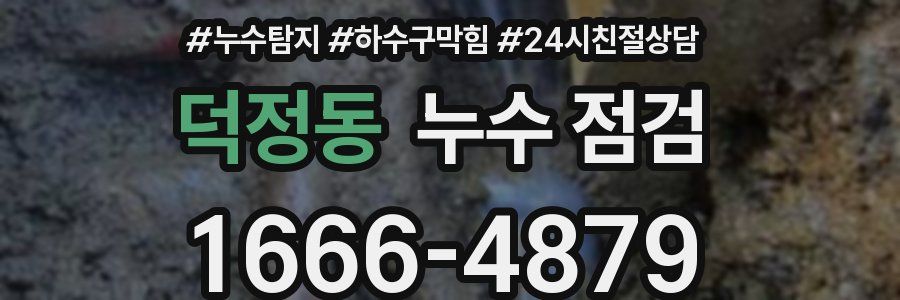 덕정동 누수 점검