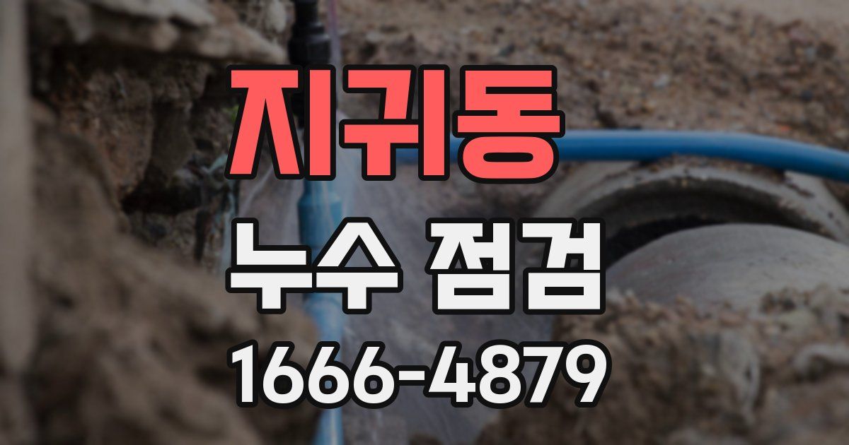 지귀동 누수 점검