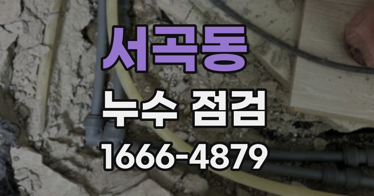서곡동 누수 점검