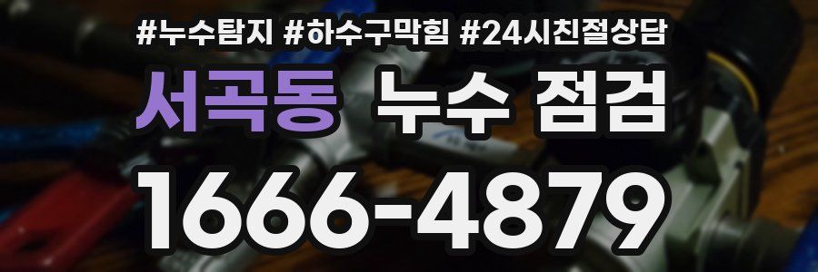 서곡동 누수 점검