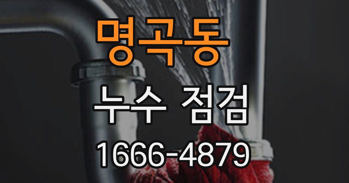 명곡동 누수 점검