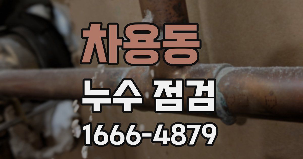 차용동 누수 점검