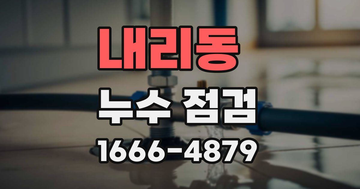 내리동 누수 점검