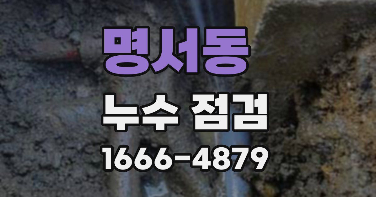 명서동 누수 점검