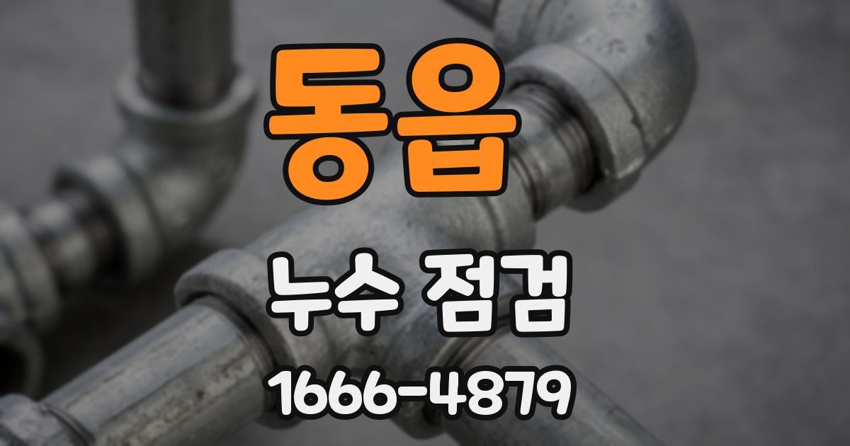 동읍 누수 점검