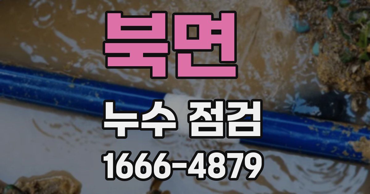 북면 누수 점검