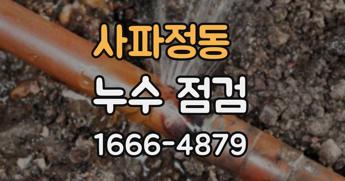 사파정동 누수 점검