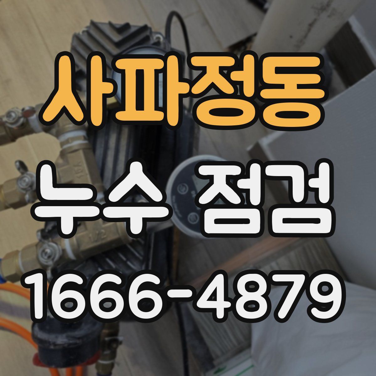 사파정동 누수 점검