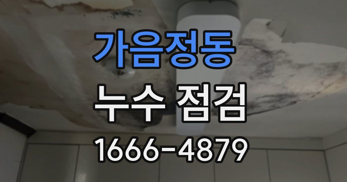 가음정동 누수 점검