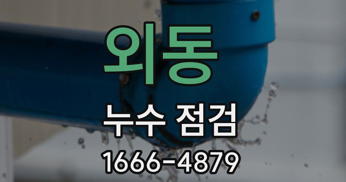 외동 누수 점검