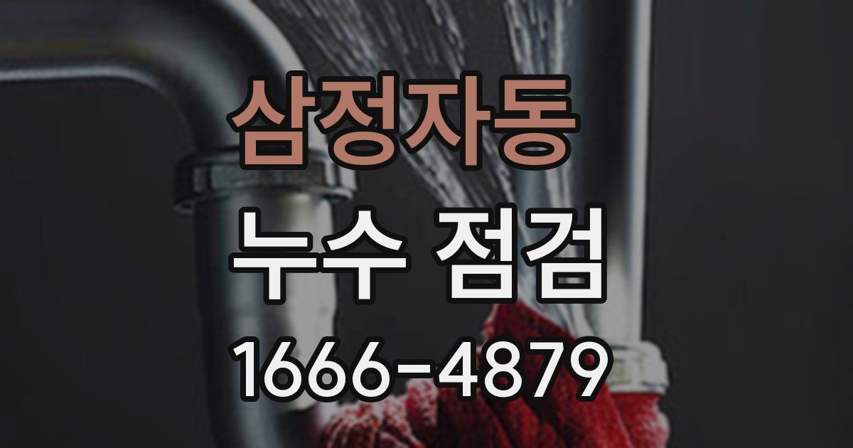 삼정자동 누수 점검