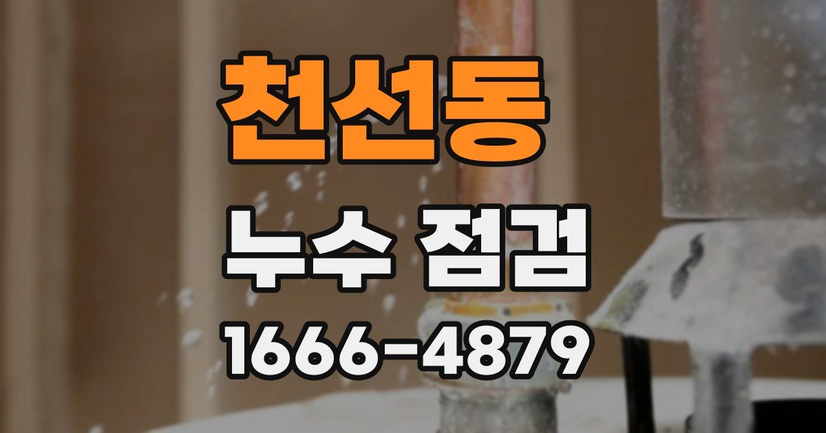 천선동 누수 점검
