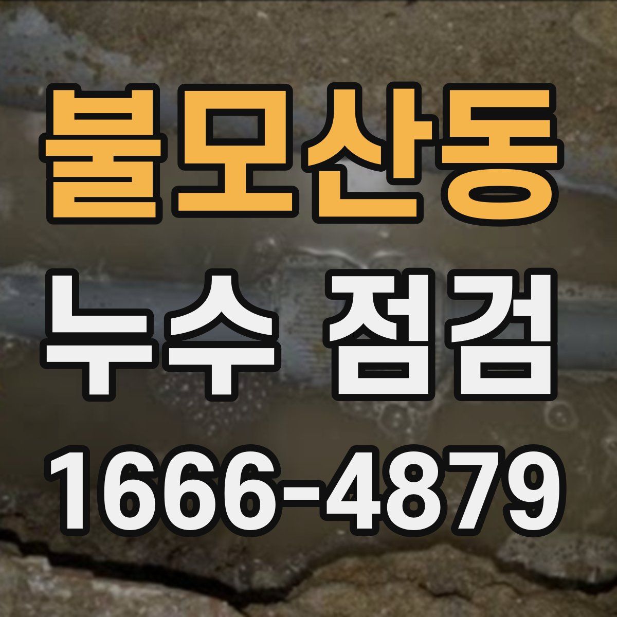 불모산동 누수 점검