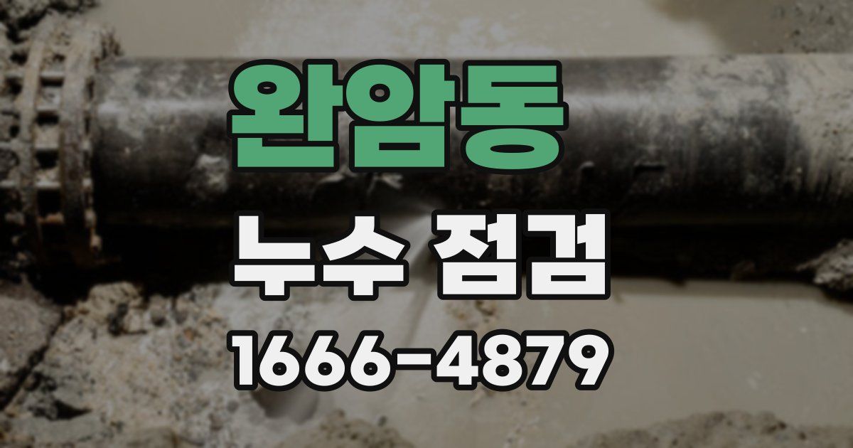 완암동 누수 점검