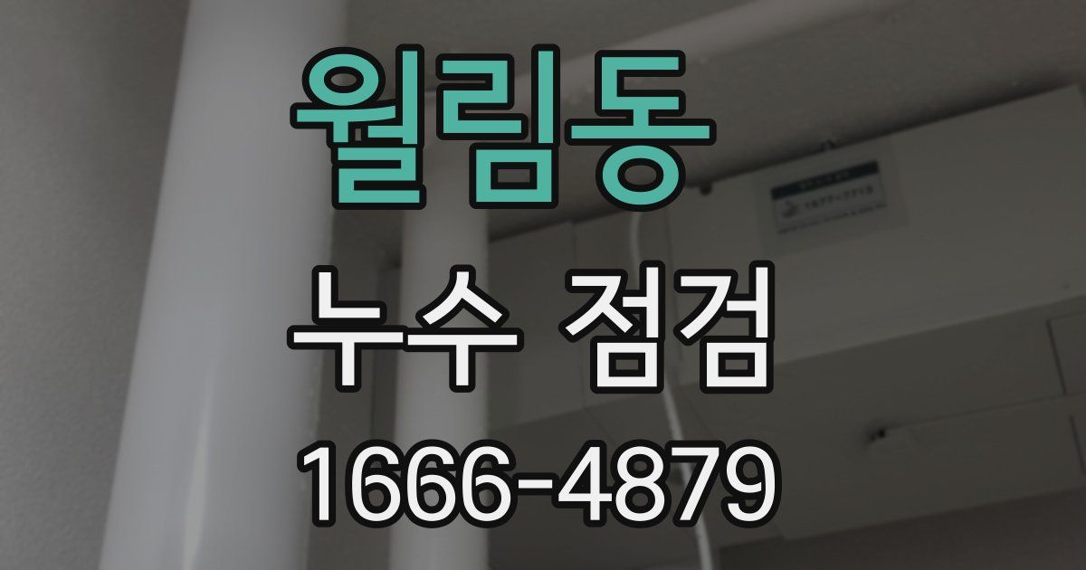 월림동 누수 점검