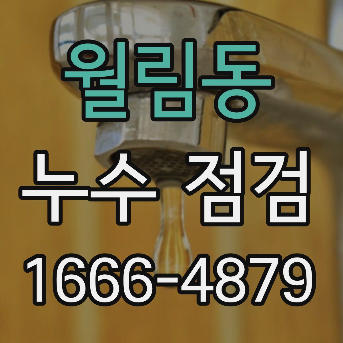 월림동 누수 점검